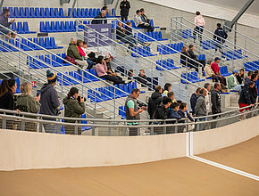 Agrandir l'image (fenêtre modale)